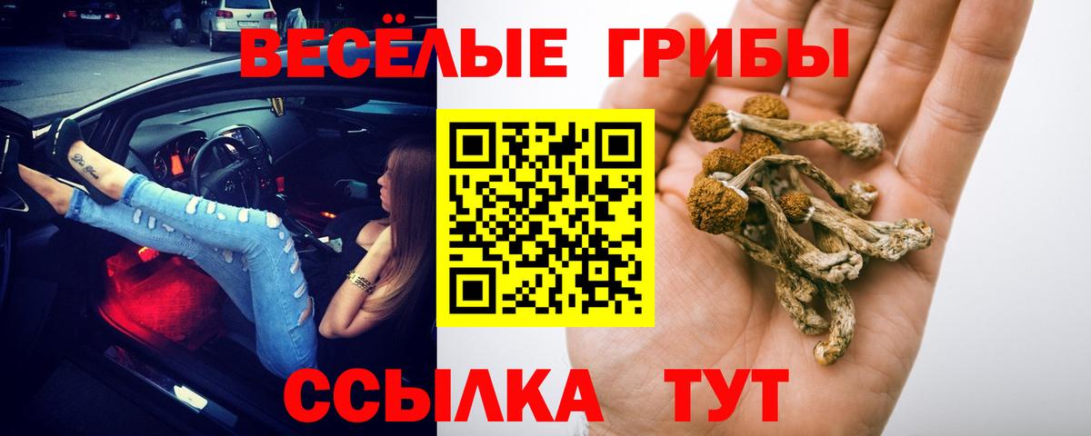 Великий Устюг  Псилоцибиновые грибы Cubensis  Вход с VPN  Псилоцибиновые грибы прущие грибы 